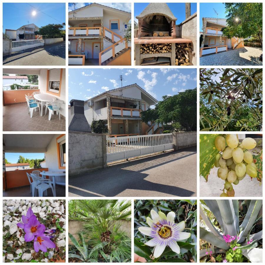 Lipa Mare Vir Apartment Exterior photo